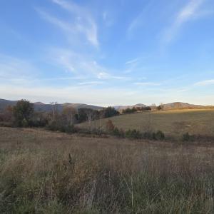 Photo #22 of OCTONIA RD, STANARDSVILLE, VA 55.4 acres