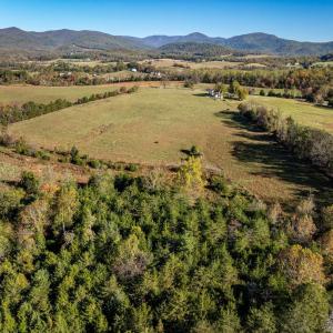 Photo #15 of OCTONIA RD, STANARDSVILLE, VA 55.4 acres