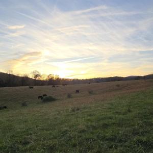 Photo #33 of OCTONIA RD, STANARDSVILLE, VA 55.4 acres