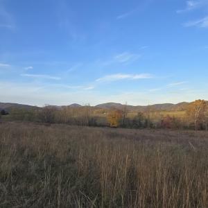 Photo #19 of OCTONIA RD, STANARDSVILLE, VA 55.4 acres