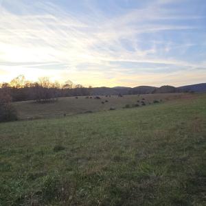 Photo #31 of OCTONIA RD, STANARDSVILLE, VA 55.4 acres