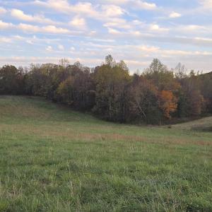 Photo #32 of OCTONIA RD, STANARDSVILLE, VA 55.4 acres