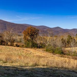 Photo #34 of OCTONIA RD, STANARDSVILLE, VA 55.4 acres