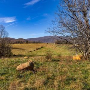 Photo #19 of OCTONIA RD, STANARDSVILLE, VA 55.4 acres