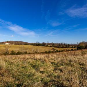 Photo #37 of OCTONIA RD, STANARDSVILLE, VA 55.4 acres