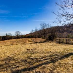 Photo #44 of OCTONIA RD, STANARDSVILLE, VA 55.4 acres