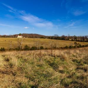Photo #39 of OCTONIA RD, STANARDSVILLE, VA 55.4 acres