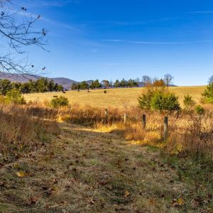Photo #30 of OCTONIA RD, STANARDSVILLE, VA 55.4 acres