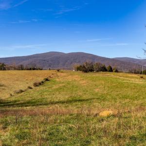 Photo #20 of OCTONIA RD, STANARDSVILLE, VA 55.4 acres