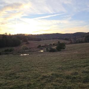 Photo #36 of OCTONIA RD, STANARDSVILLE, VA 55.4 acres