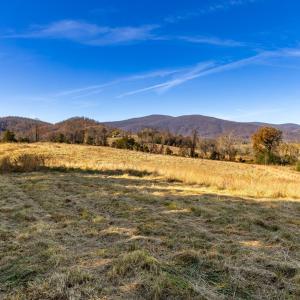 Photo #33 of OCTONIA RD, STANARDSVILLE, VA 55.4 acres
