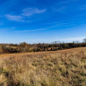 Photo #41 of OCTONIA RD, STANARDSVILLE, VA 55.4 acres