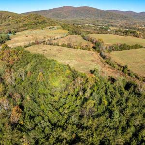 Photo #13 of OCTONIA RD, STANARDSVILLE, VA 55.4 acres