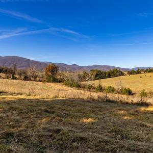 Photo #34 of OCTONIA RD, STANARDSVILLE, VA 55.4 acres