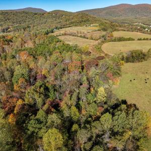 Photo #11 of OCTONIA RD, STANARDSVILLE, VA 55.4 acres