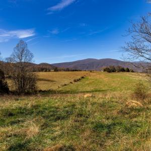Photo #19 of OCTONIA RD, STANARDSVILLE, VA 55.4 acres