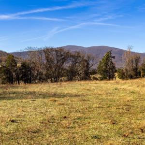 Photo #25 of OCTONIA RD, STANARDSVILLE, VA 55.4 acres