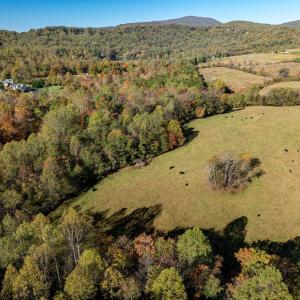 Photo #10 of OCTONIA RD, STANARDSVILLE, VA 55.4 acres