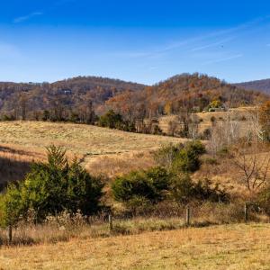 Photo #29 of OCTONIA RD, STANARDSVILLE, VA 55.4 acres