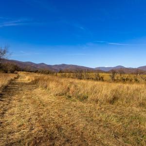 Photo #1 of OCTONIA RD, STANARDSVILLE, VA 55.4 acres