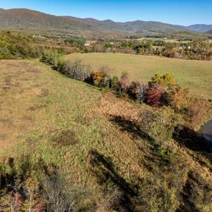 Photo #16 of OCTONIA RD, STANARDSVILLE, VA 55.4 acres