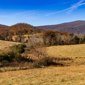 Photo #28 of OCTONIA RD, STANARDSVILLE, VA 55.4 acres