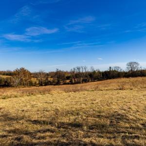 Photo #45 of OCTONIA RD, STANARDSVILLE, VA 55.4 acres