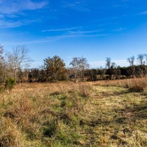 Photo #42 of OCTONIA RD, STANARDSVILLE, VA 55.4 acres