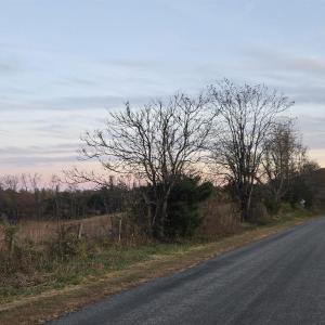 Photo #39 of OCTONIA RD, STANARDSVILLE, VA 55.4 acres