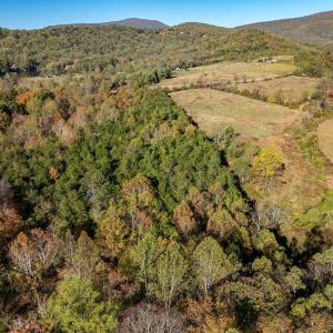 Photo #12 of OCTONIA RD, STANARDSVILLE, VA 55.4 acres