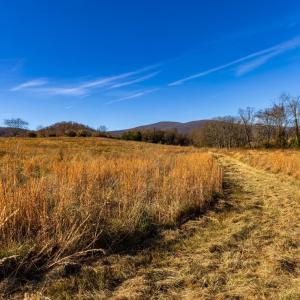 Photo #43 of OCTONIA RD, STANARDSVILLE, VA 55.4 acres