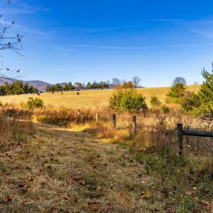 Photo #30 of OCTONIA RD, STANARDSVILLE, VA 55.4 acres