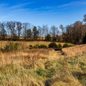 Photo #37 of OCTONIA RD, STANARDSVILLE, VA 55.4 acres