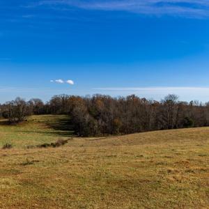 Photo #23 of OCTONIA RD, STANARDSVILLE, VA 55.4 acres