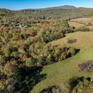 Photo #9 of OCTONIA RD, STANARDSVILLE, VA 55.4 acres