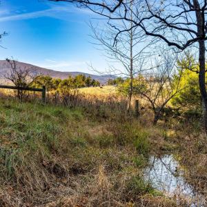 Photo #32 of OCTONIA RD, STANARDSVILLE, VA 55.4 acres
