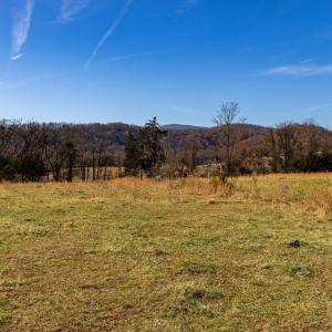 Photo #22 of OCTONIA RD, STANARDSVILLE, VA 55.4 acres