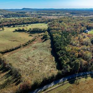 Photo #5 of OCTONIA RD, STANARDSVILLE, VA 55.4 acres