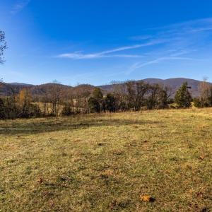 Photo #24 of OCTONIA RD, STANARDSVILLE, VA 55.4 acres