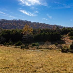 Photo #26 of OCTONIA RD, STANARDSVILLE, VA 55.4 acres