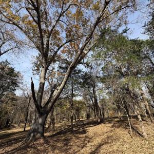 Photo #20 of Parcel A DULWICH DR, AMHERST, VA 19.8 acres