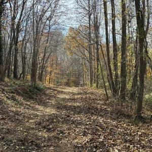 Photo #16 of Parcel A DULWICH DR, AMHERST, VA 19.8 acres