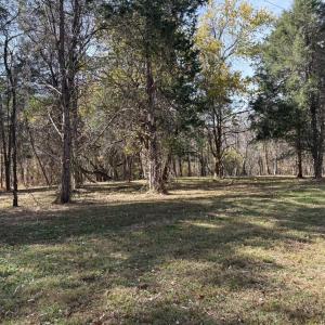 Photo #9 of Parcel A DULWICH DR, AMHERST, VA 19.8 acres