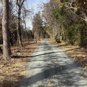 Photo #6 of Parcel A DULWICH DR, AMHERST, VA 19.8 acres