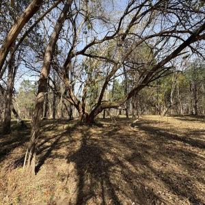 Photo #14 of Parcel A DULWICH DR, AMHERST, VA 19.8 acres