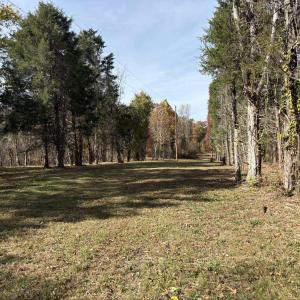 Photo #10 of Parcel A DULWICH DR, AMHERST, VA 19.8 acres