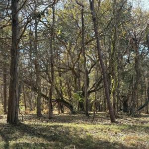 Photo #30 of Parcel A DULWICH DR, AMHERST, VA 19.8 acres