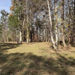 Photo #31 of Parcel A DULWICH DR, AMHERST, VA 19.8 acres