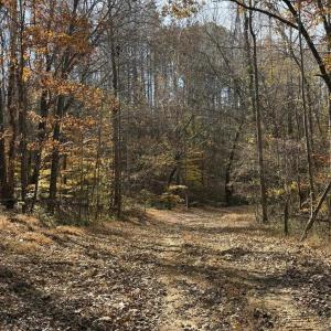 Photo #17 of Parcel A DULWICH DR, AMHERST, VA 19.8 acres