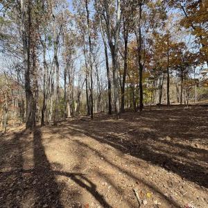 Photo #3 of Parcel A DULWICH DR, AMHERST, VA 19.8 acres